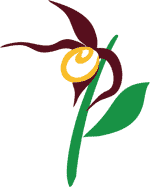 Logo Life Plus mit einer stilisierten Blume.
